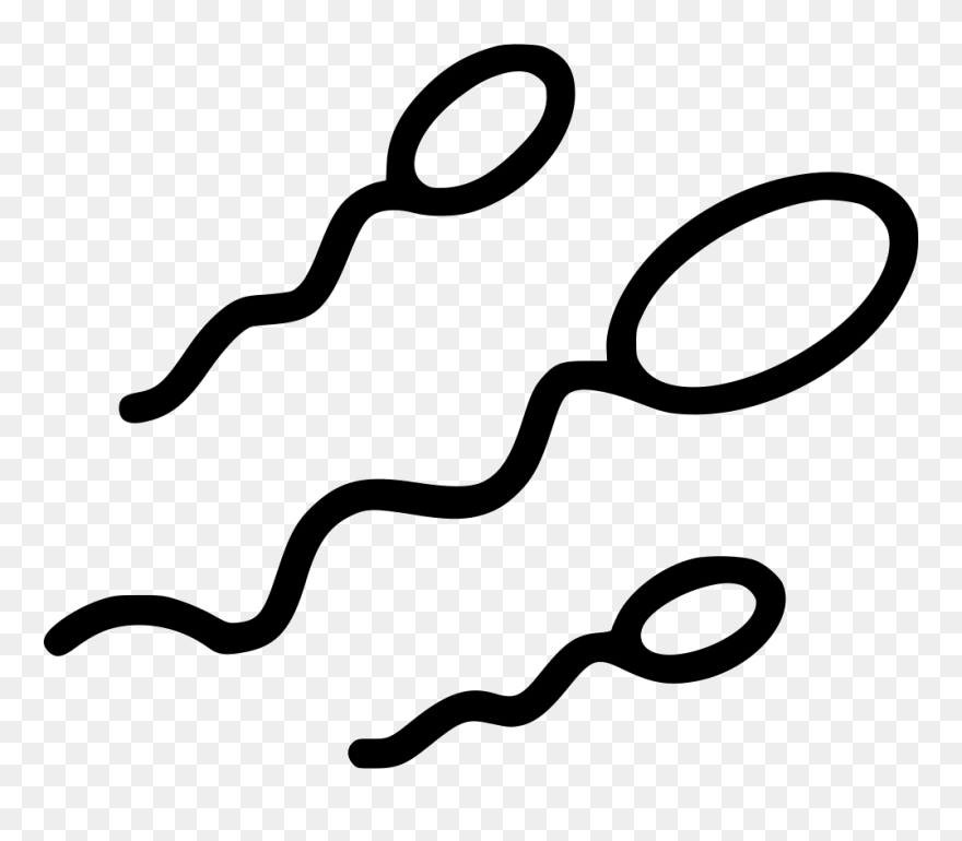 Sperm Cell Png Clipart, Png Download Sperm Cell Sperm Png Transparent