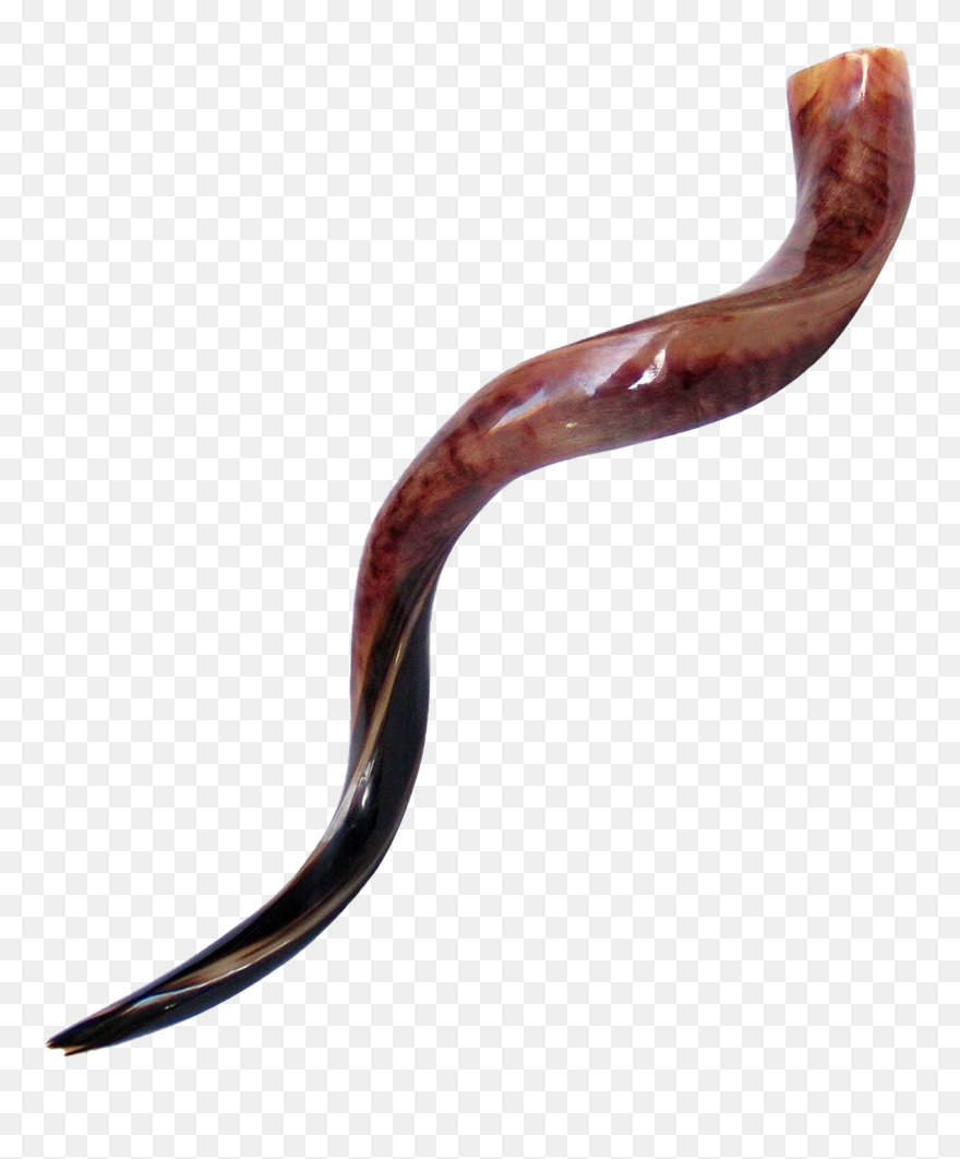 Shofar Horn Png Clipart - Shofar Clipart Transparent Png