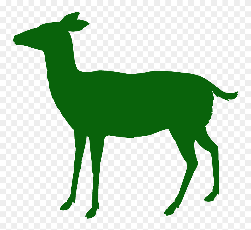 Doe Silhouette Clipart