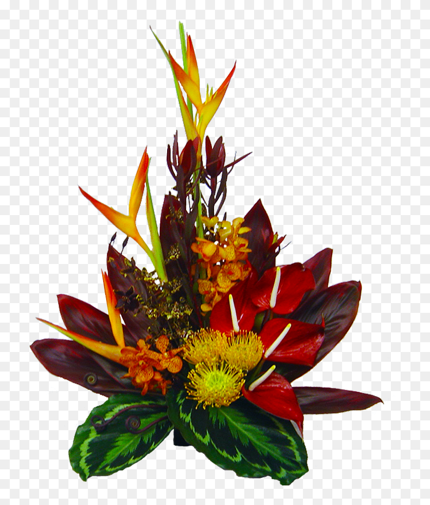 Tropical Sunset Hawaiian Flower Bouquet Flowers - Real Tropical Flowers Transparent Background Clipart