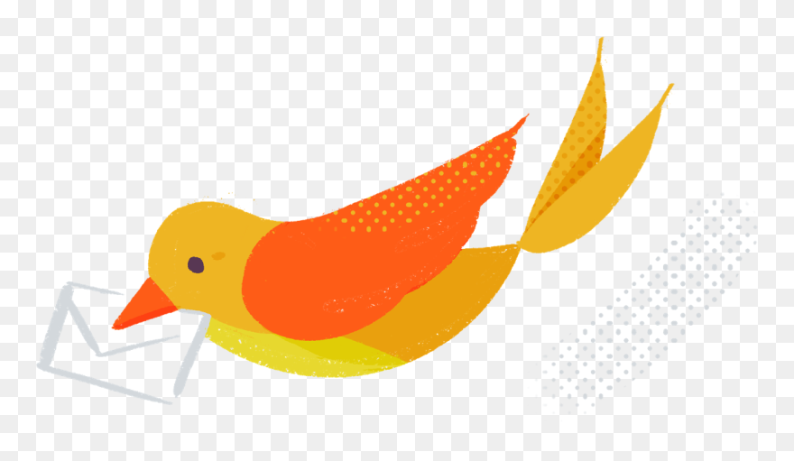 Old World Flycatcher Clipart