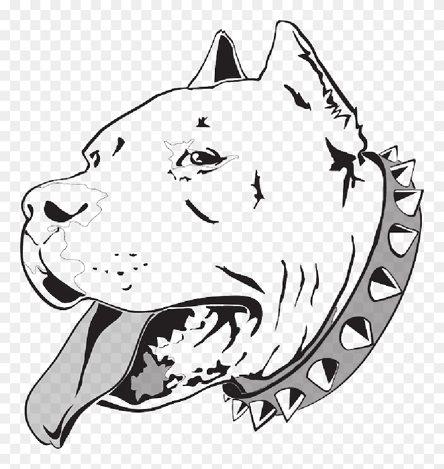 Head, Dog, Bull, Pet, Household, Animal, Pit, Canine - Pitbull Drawings Clipart