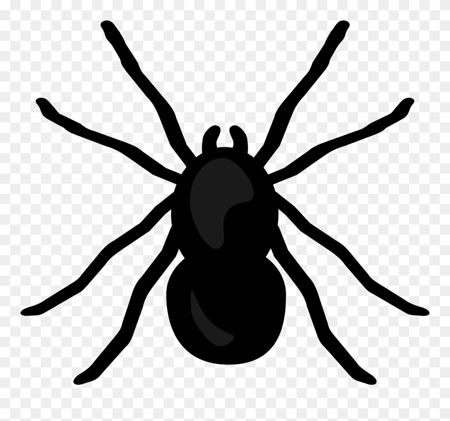 Spider Desktop Wallpaper Clip Art - Spider Clipart No Background - Png Download