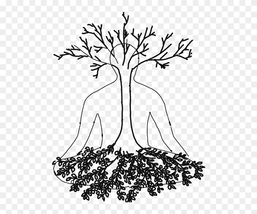 Adansonia Clipart