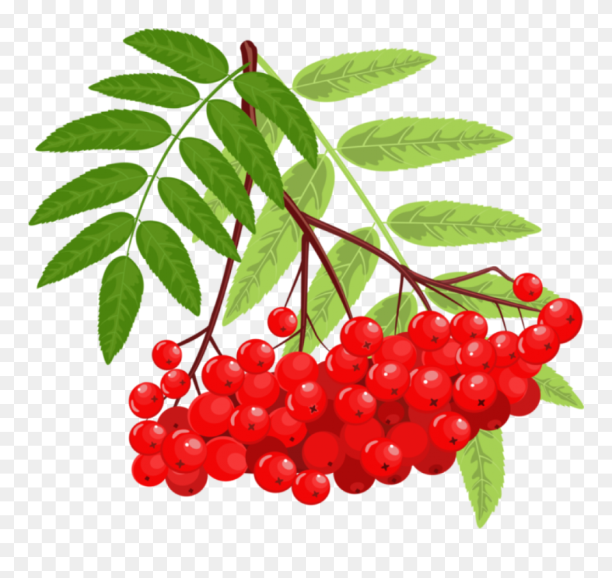 Похожее Изображение Clip Art, Cookies, Strawberry, - Стало Вдруг Светлее Вдвое - Png Download