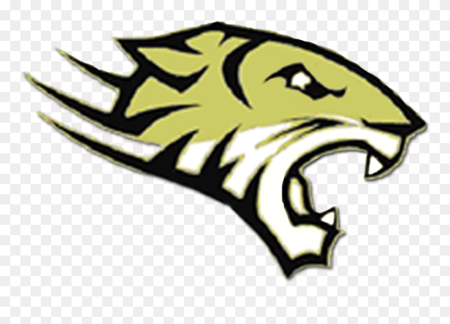 Towson Tigers Clipart