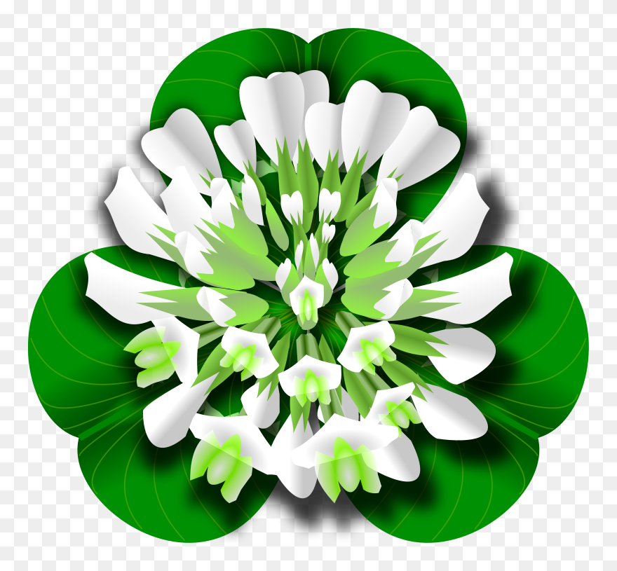 White Clover Flower - White Clover Clipart - Png Download