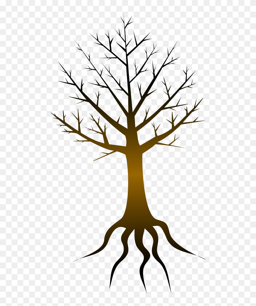 Tree Trunk Svg Clip Arts - Tree Without Leaves Clipart Png Hd Transparent Png