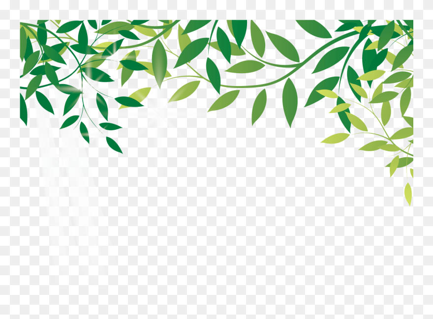 Transparent Amazon Rainforest Clipart - Amazon Rainforest Transparent Background - Png Download