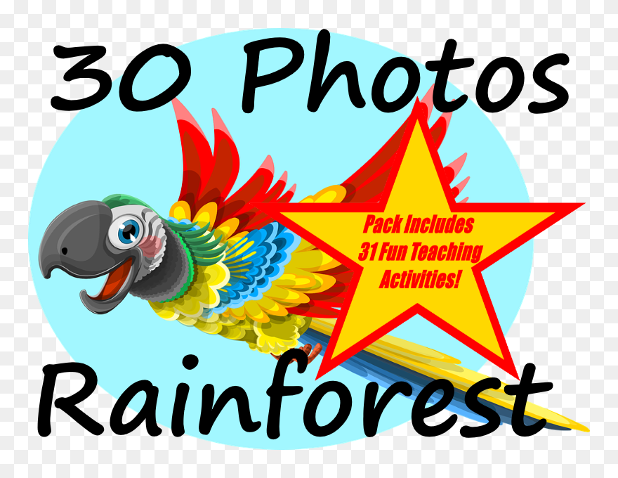 30 Photos Of The Amazon Rainforest 31 Fun Teaching - Amazon Rainforest Animals Clip Art - Png Download