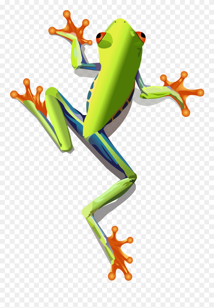 Tree Frog Clipart - Png Download