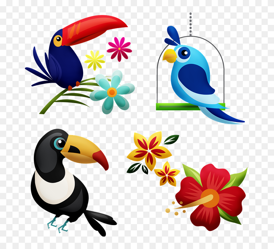 Transparent Rainforest Birds Clipart - Toucans - Png Download
