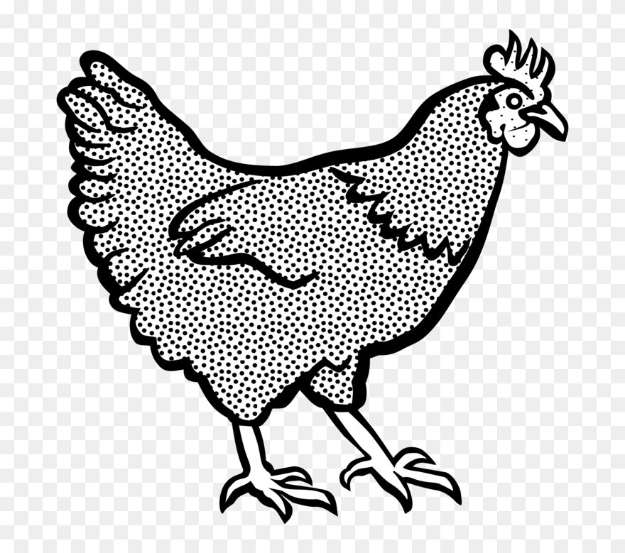 Heart,art,livestock - Hen Black And White Clipart - Png Download