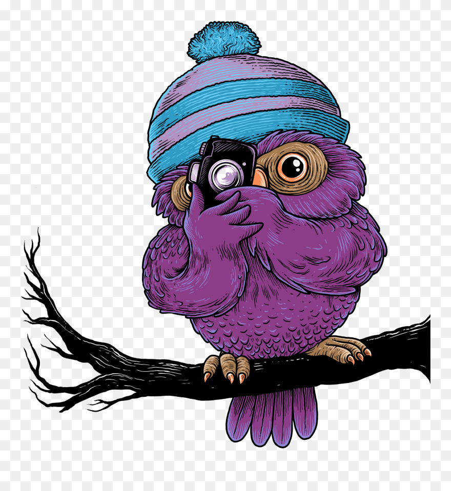 Phil The Owl Photographer Has A Bird"s Eye View For Clipart