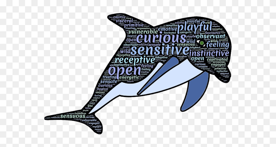 Dolphin Typography Clipart