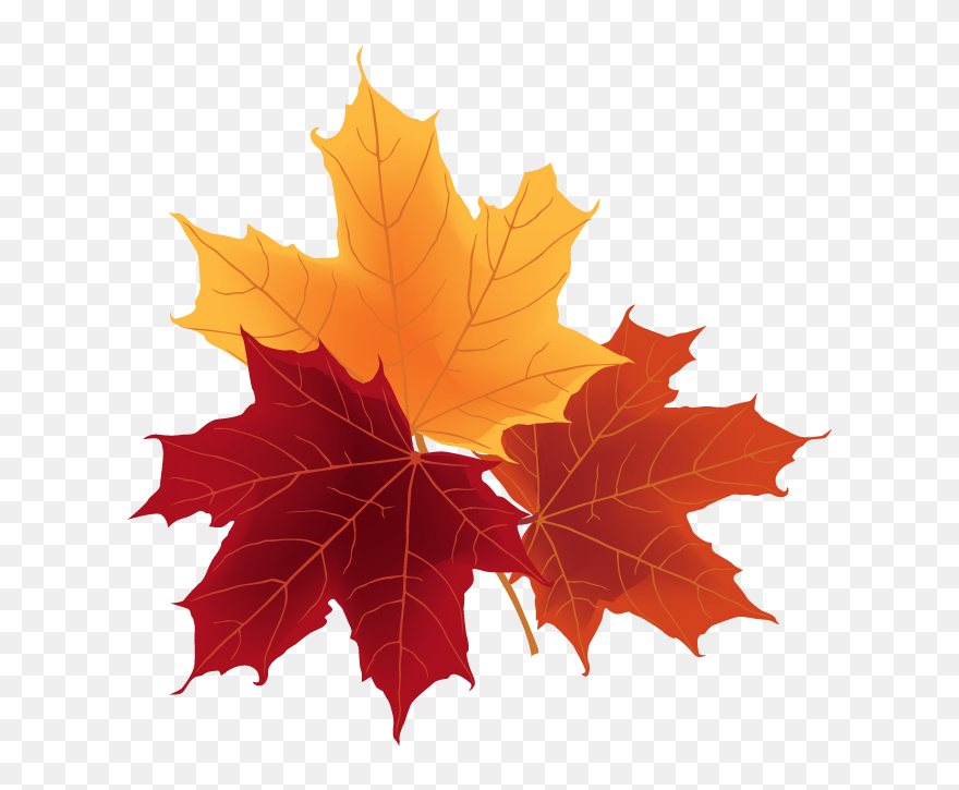 Fruit D Automne Illustration Clipart