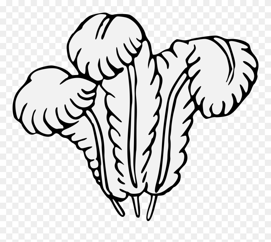 Ostrich Feather Clipart - Png Download