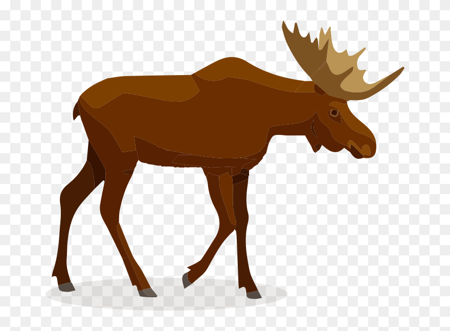 Dibujos Animales Silvestres Clipart