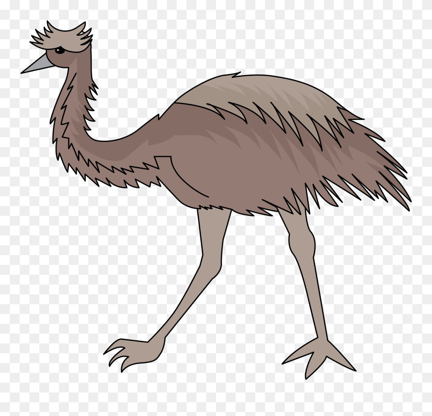 Ostrich Clipart