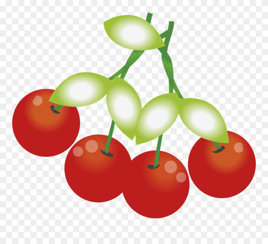 Fruit Clipart