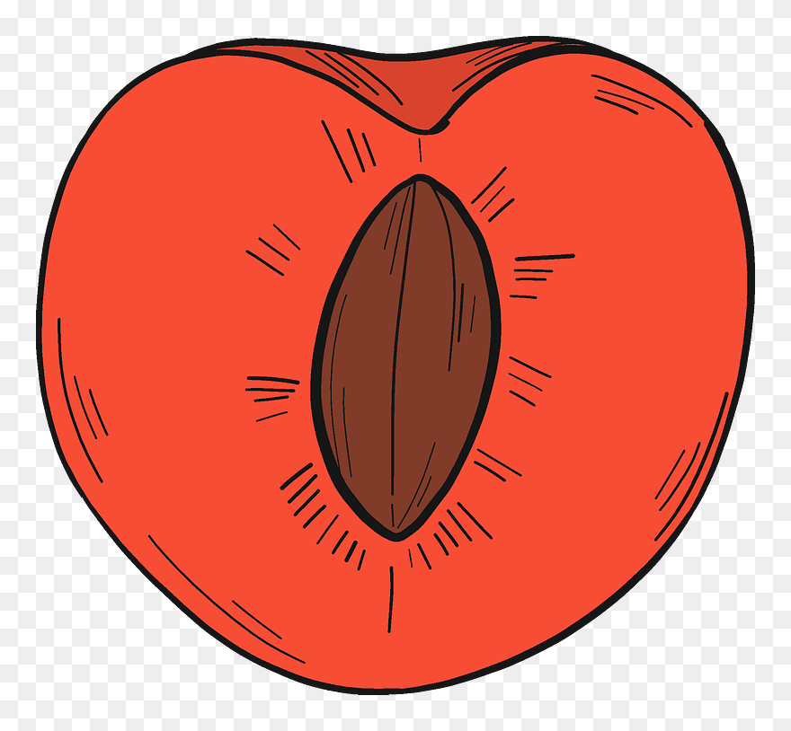 Half Cherry Clipart - Circle - Png Download