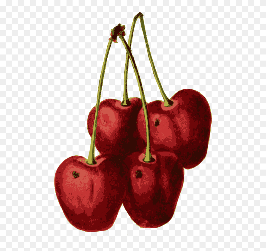 Seedless Fruit,plant,food - Cherry Clipart