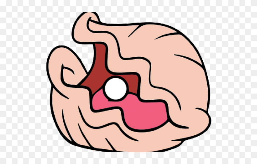 Clam Clipart - Png Download