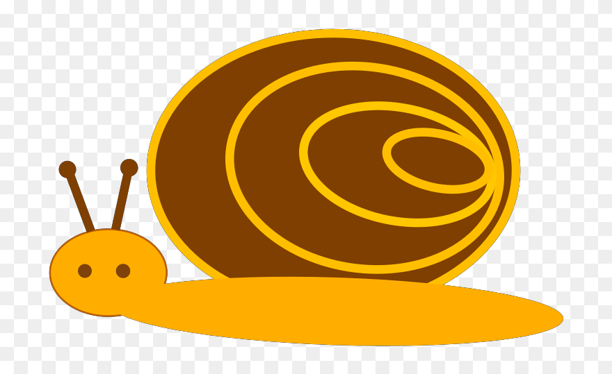 Sea Snail Clipart