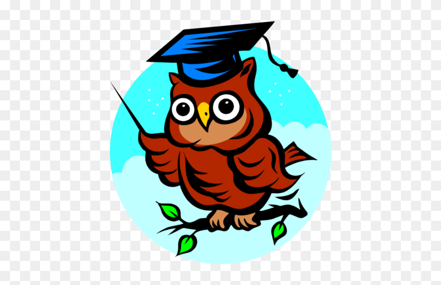 Fau Hs Rotary Scholar For January - Scholarly Owl Transparent Clipart