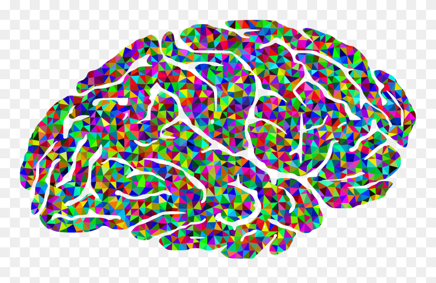 Rainbow Frames Illustrations Hd - Psychology Brain Clip Art - Png Download