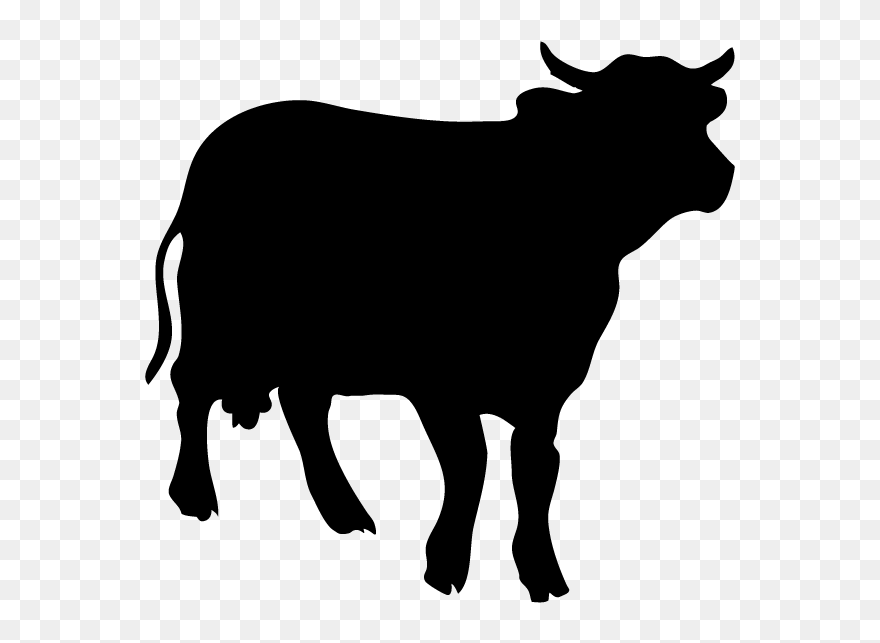 Angus Cattle Silhouette Royalty-free Clip Art - Angus Bull Silhouette Transparent - Png Download