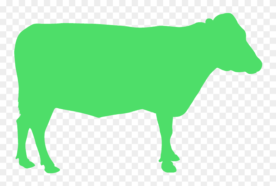 Cattle Clipart