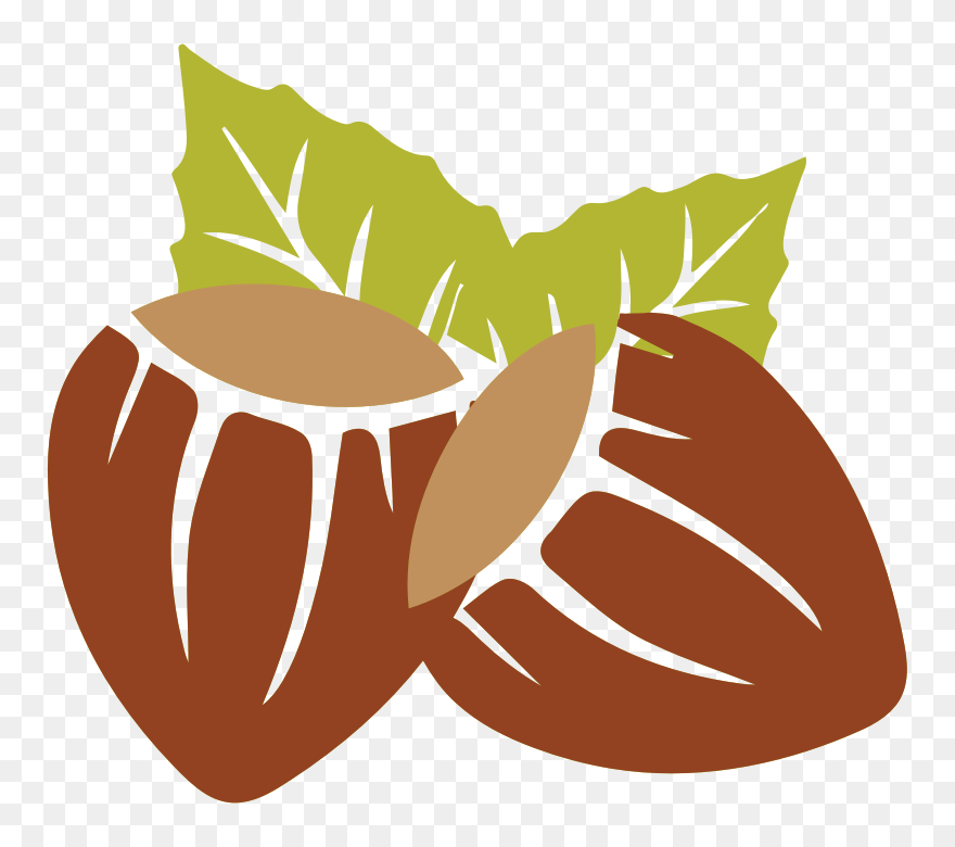 Nut Clipart Hazelnut - Hazelnut Clip Art - Png Download