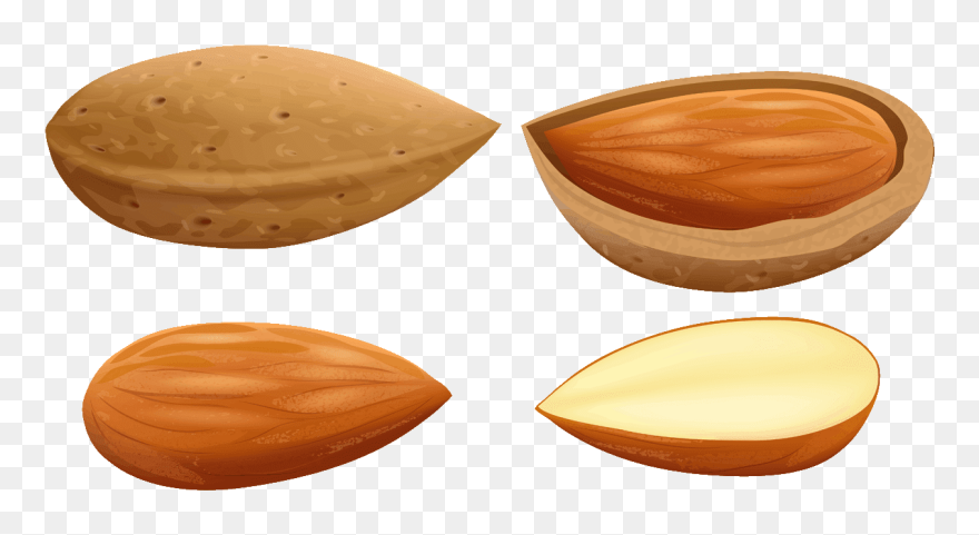 Almond Clipart Single - Almonds Clip Art - Png Download
