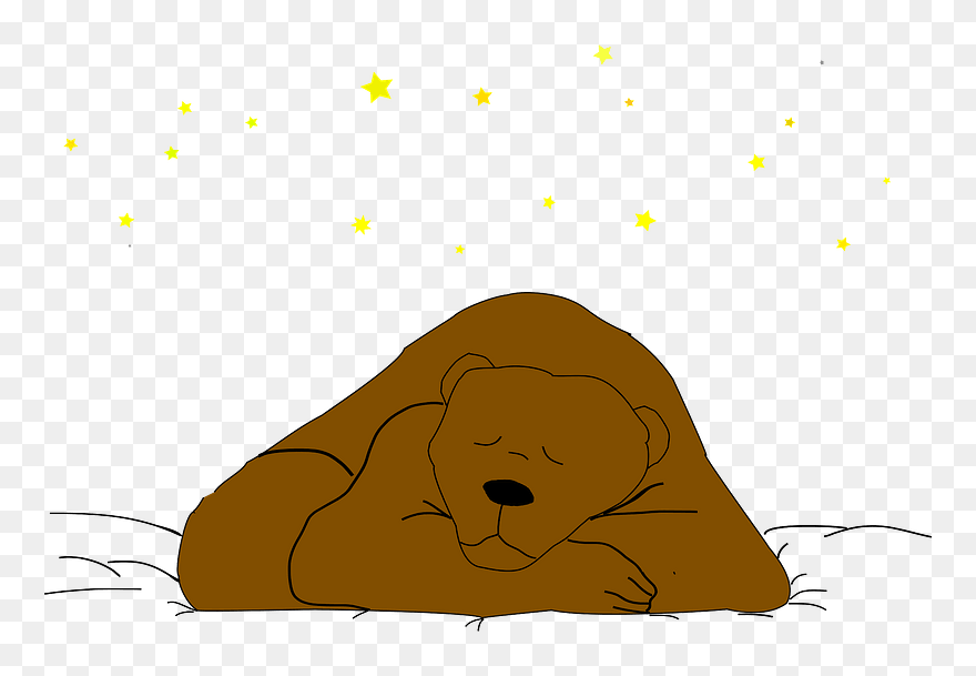 Sleeping Bear Under The Stars Clipart - Sea Lion - Png Download