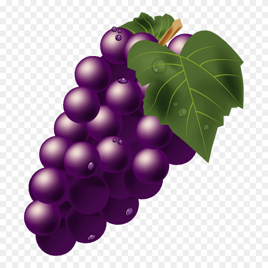 Grape Fruits Clipart - Grape - Png Download