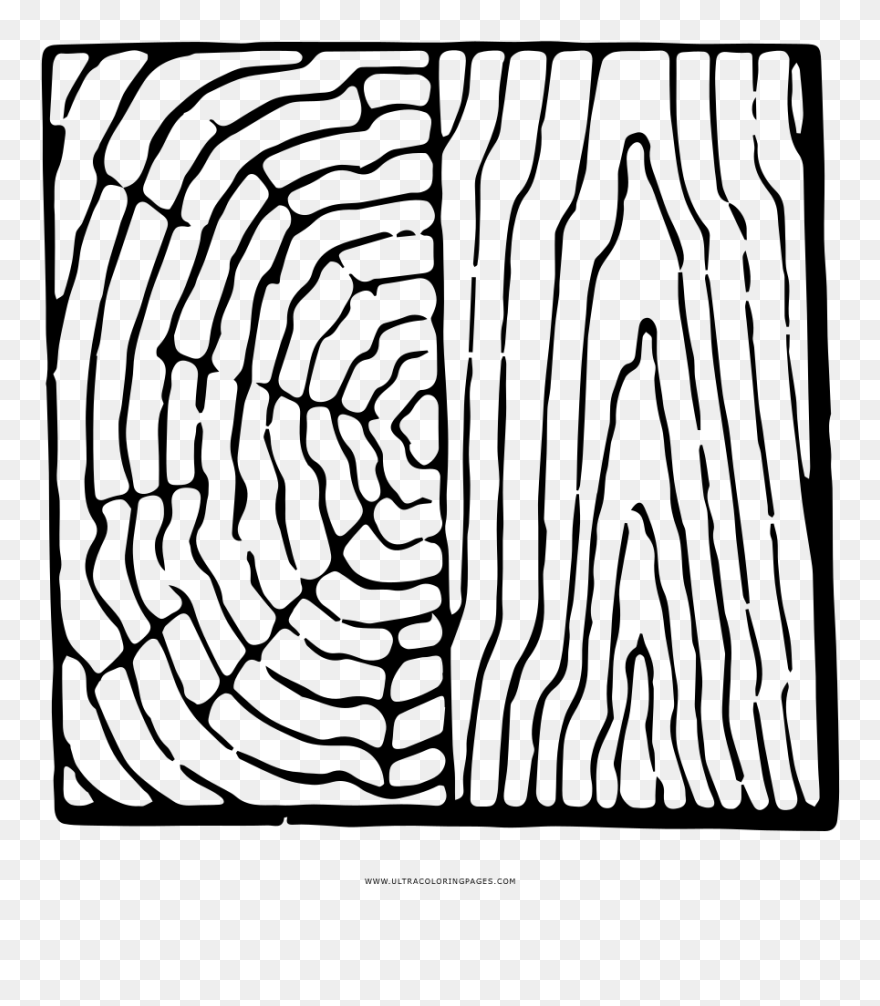 Transparent Paul Revere Midnight Ride Clipart - Wood Coloring Pages - Png Download