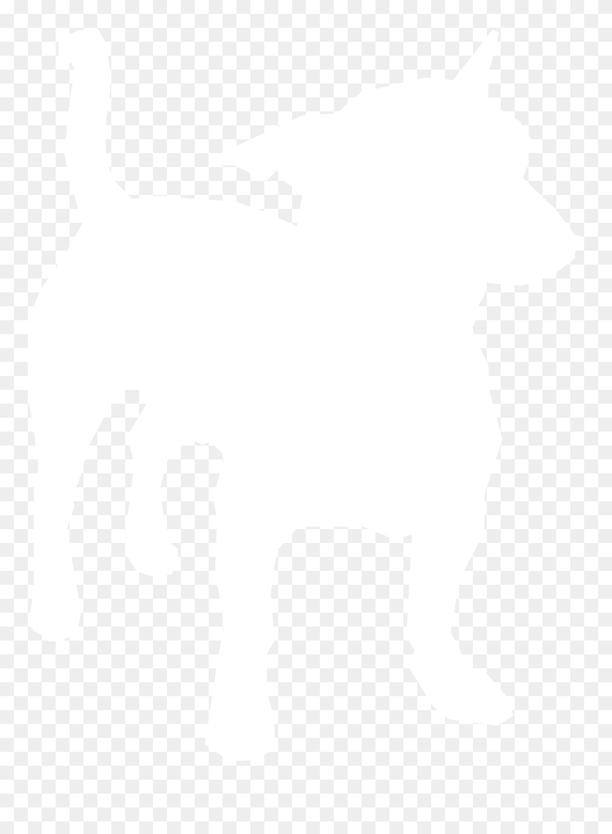 Illustration Clipart