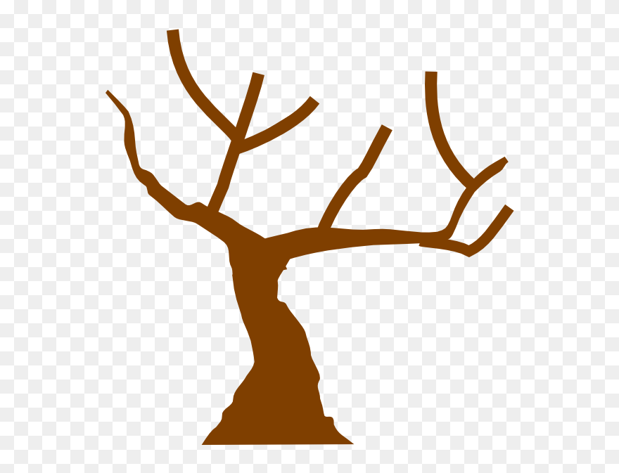 Learn How To Create A Tree - Empty Tree Clipart - Png Download