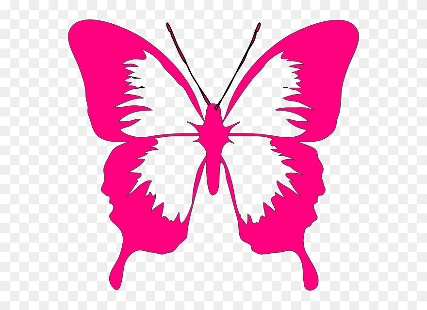 Colorful Butterflies Clip Art - Png Download