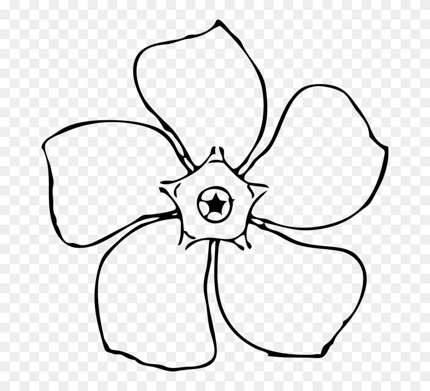 Daffodil Clipart Pumpkin Flower - Clipart Of Periwinkle Flower - Png Download