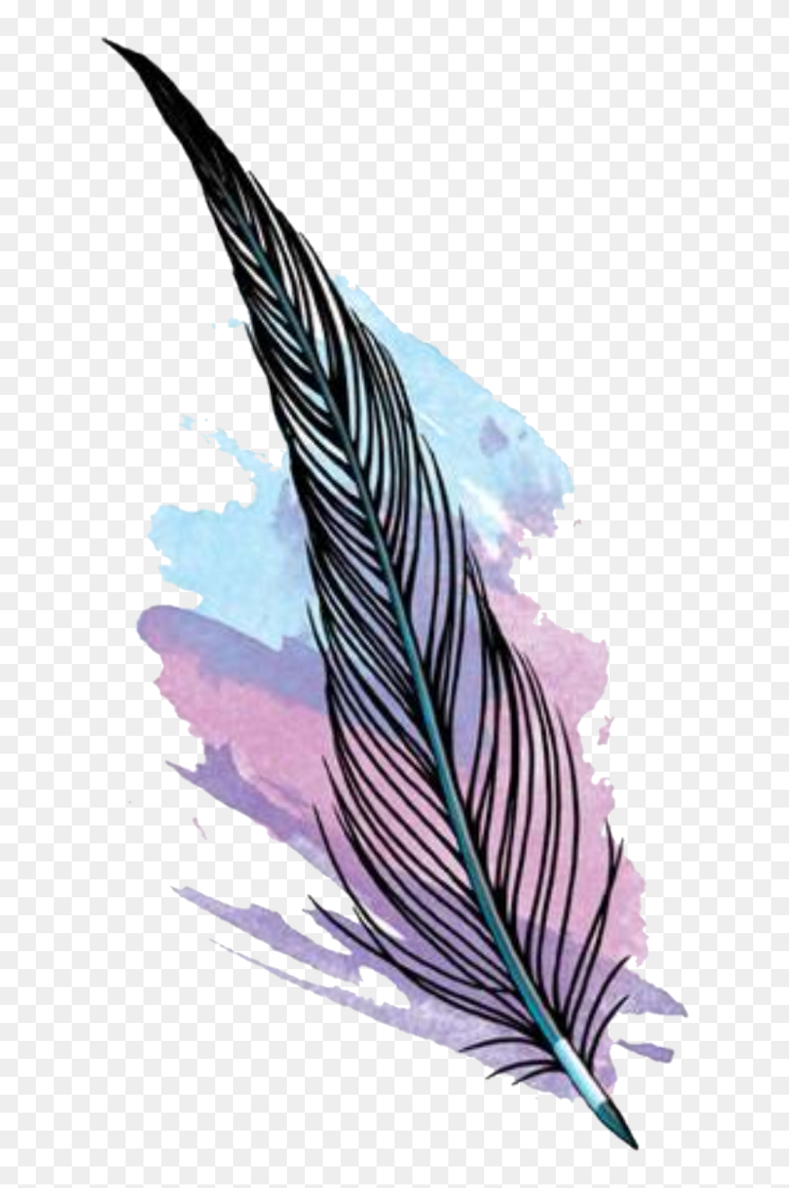 #feather #watercolour #watercolourfeather #boho #bohofeathers Clipart