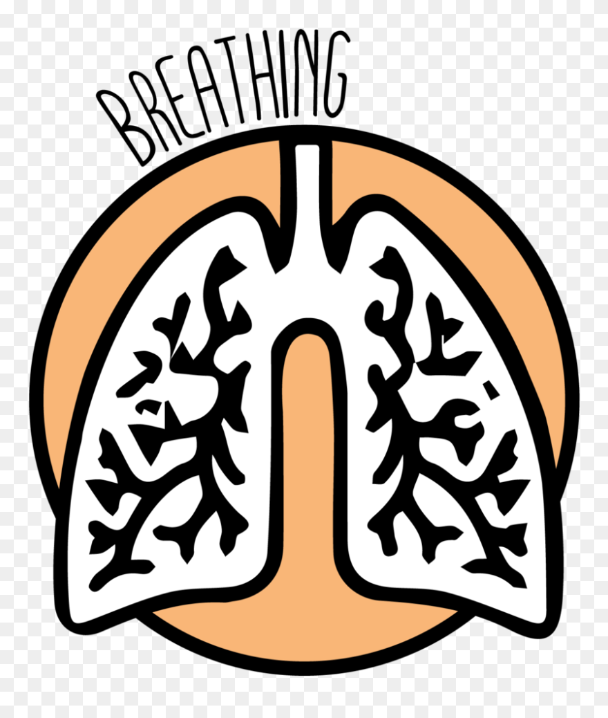 Breathing Is One Of The Simplest Yet Most Misunderstood - Pulmon Logo Clipart