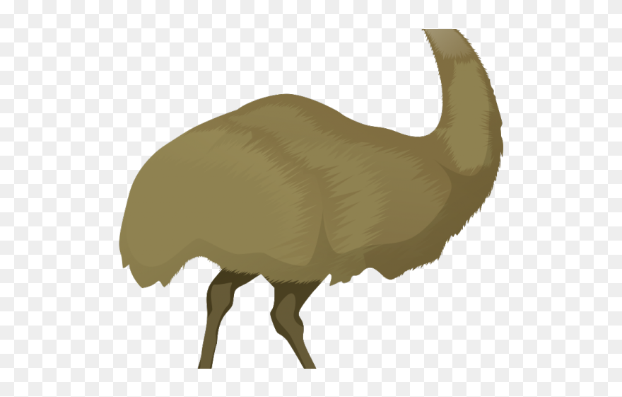 Emu Cartoon Png Clipart