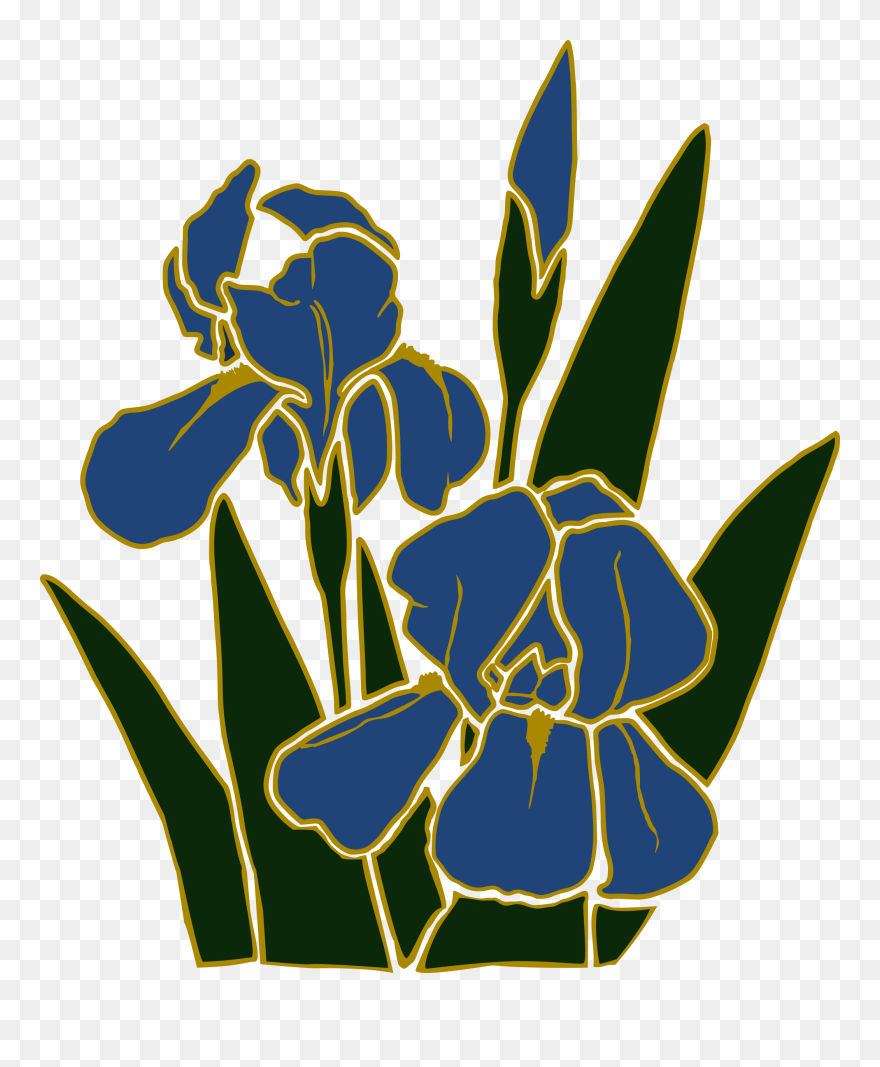 Iris 1 Clip Arts - Clip Art - Png Download