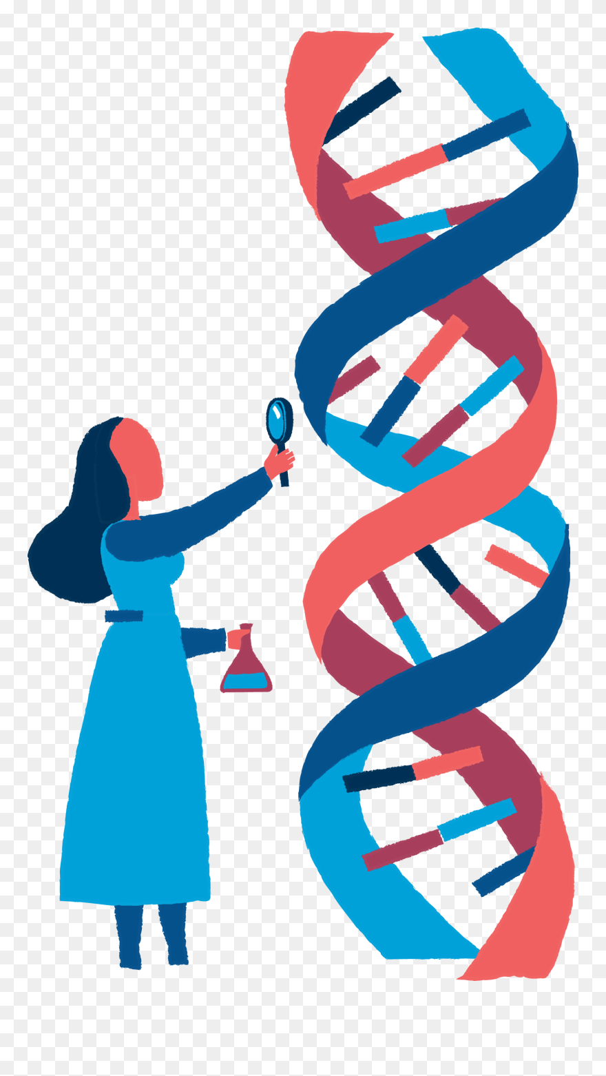 Science Euclidean Vector Biology Dna - Biology Clipart - Png Download