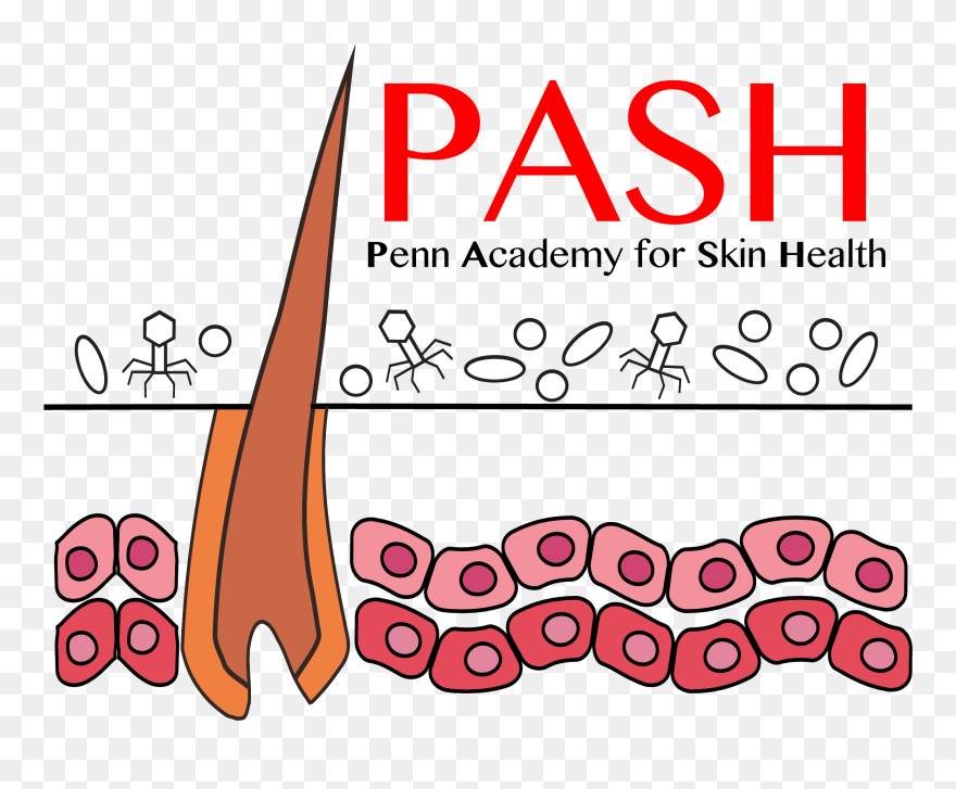Penn Academy For Skin Health Clipart