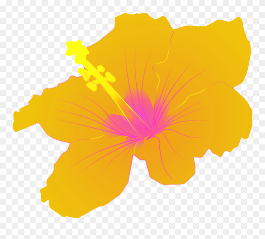 Hibiscus Flower Tropical Floral Png Image - Hibiscus Clip Art Transparent Png