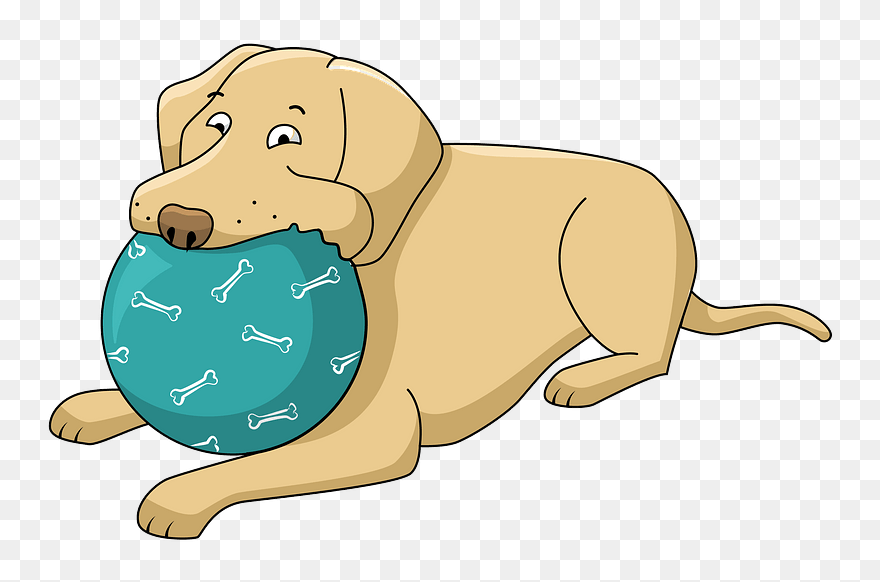 Labrador With A Ball Clipart - Dog With Ball Clipart - Png Download