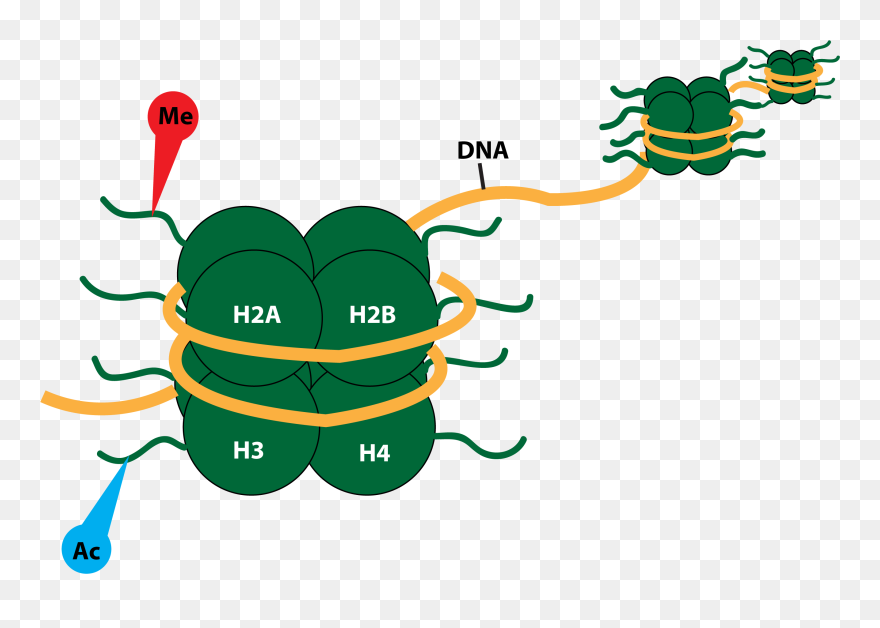 Featured Article Image Clipart